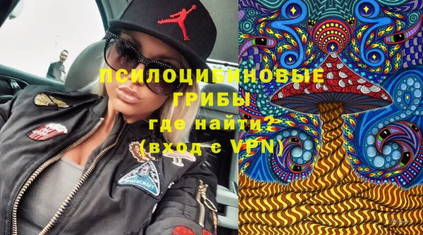 прущая мука Нея