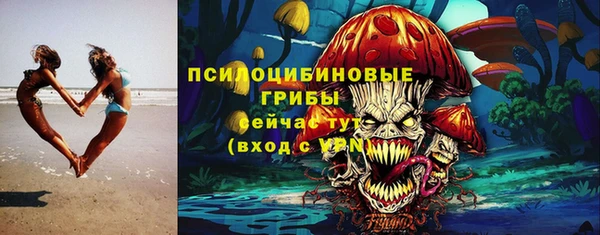 тгк Нефтекумск