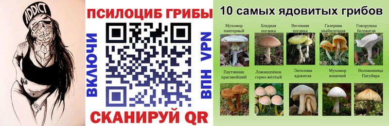 Галлюциногенные грибы мицелий  где купить наркотик  Оренбург 